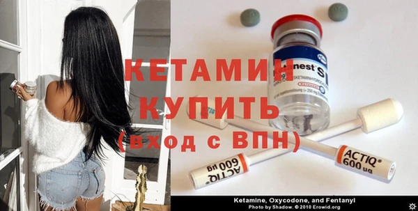 ГАЛЛЮЦИНОГЕННЫЕ ГРИБЫ Гусь-Хрустальный
