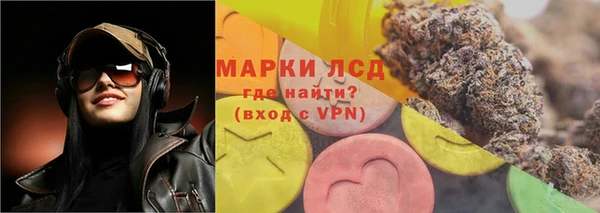 ГАЛЛЮЦИНОГЕННЫЕ ГРИБЫ Гусь-Хрустальный