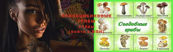 первитин Гусев