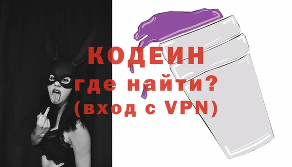 первитин Гусев