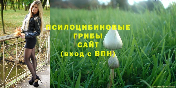 дурь Гусиноозёрск