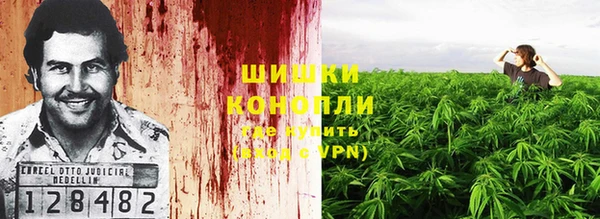 первитин Гусев