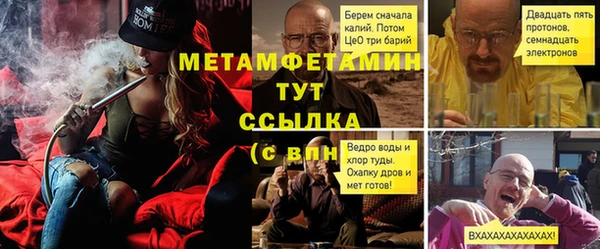 ГАЛЛЮЦИНОГЕННЫЕ ГРИБЫ Гусь-Хрустальный