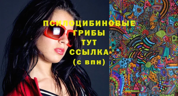 дурь Гусиноозёрск