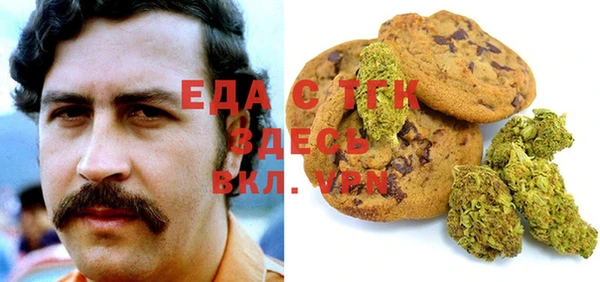 дурь Гусиноозёрск