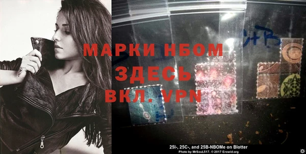 ГАЛЛЮЦИНОГЕННЫЕ ГРИБЫ Гусь-Хрустальный