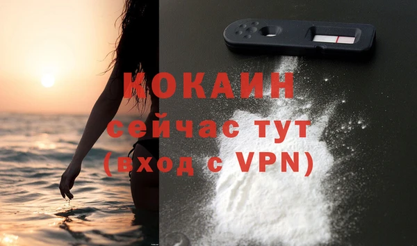 дурь Гусиноозёрск