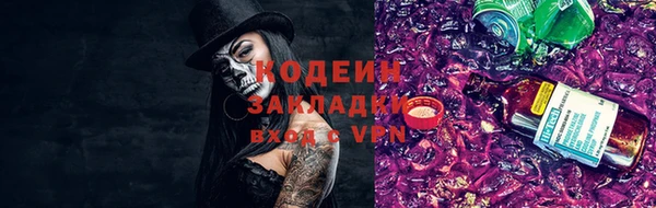 первитин Гусев