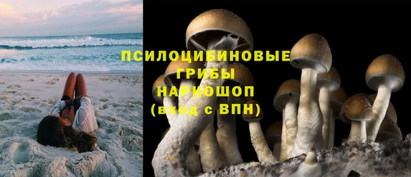 дурь Гусиноозёрск