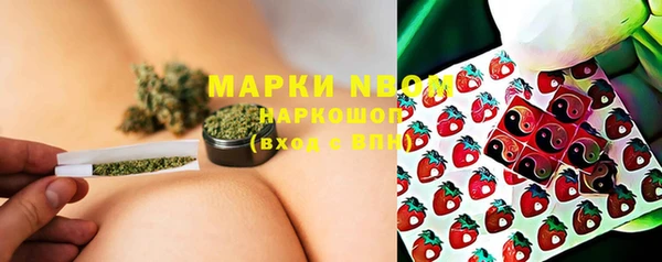 ГАЛЛЮЦИНОГЕННЫЕ ГРИБЫ Гусь-Хрустальный