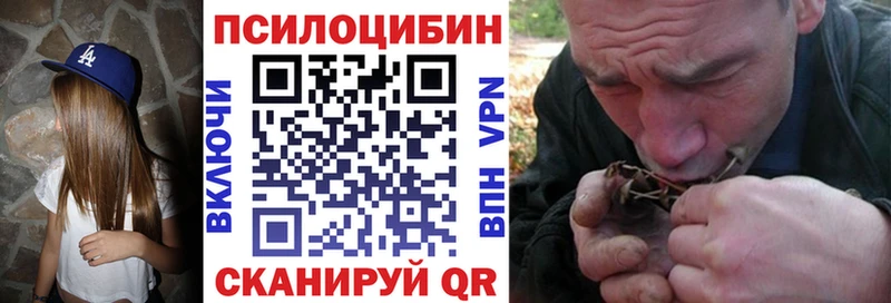 даркнет сайт  Новоуральск  Галлюциногенные грибы MAGIC MUSHROOMS 